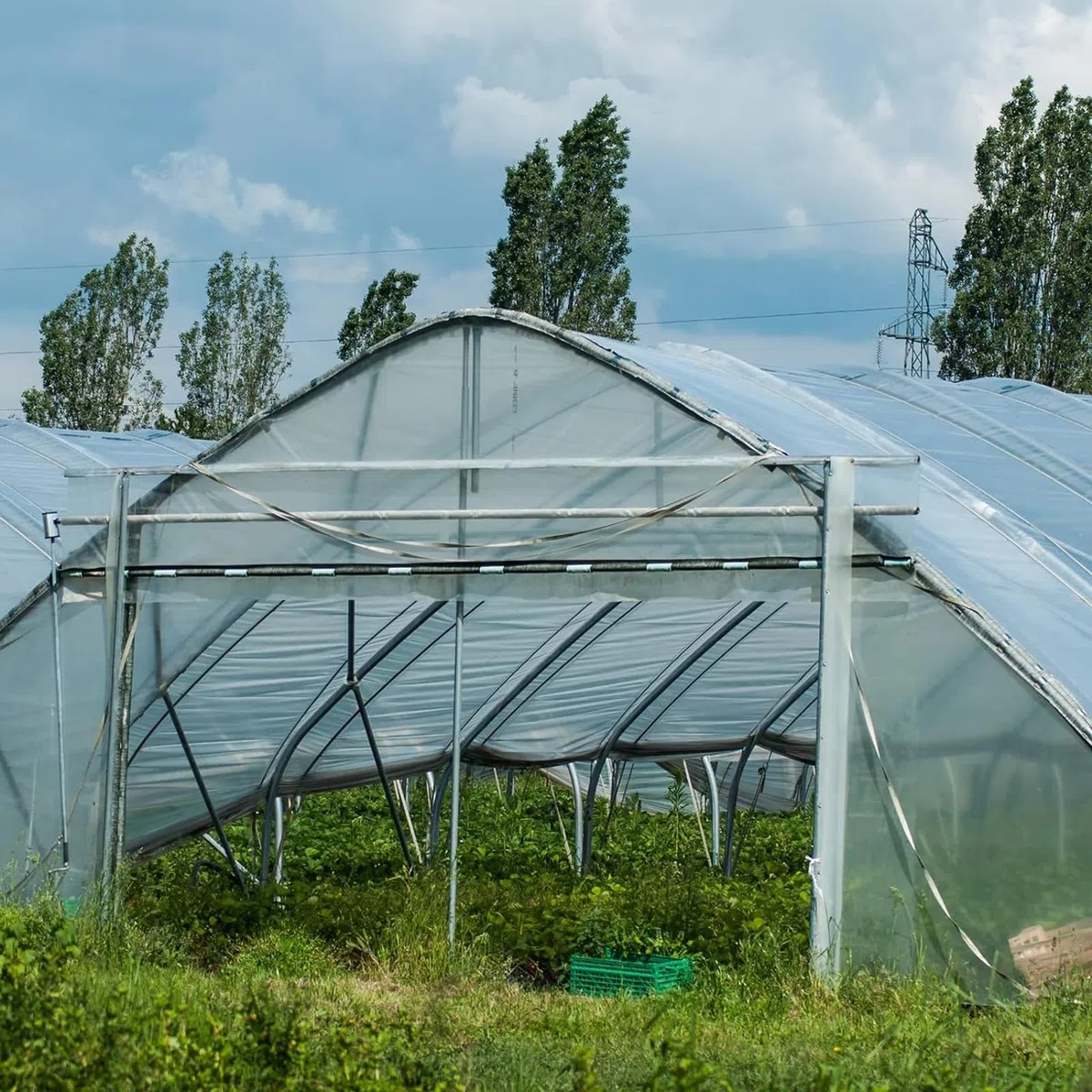 DAZZTIME 3x6M Bâche de Protection en Polyéthylène,Film à Effet De Serre,Bache Plastique Transparente,Résistant Couverture de Polytunnel,pour Protection Serre de Plante de Jardin(200Mu/1000G)