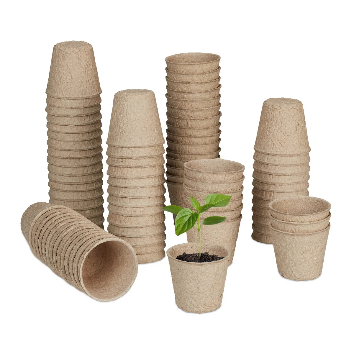 Relaxdays Godet pour semis, Lot de 80, Cellulose, HxD: 5x6 cm, Pots Ronds pour légumes, Nature