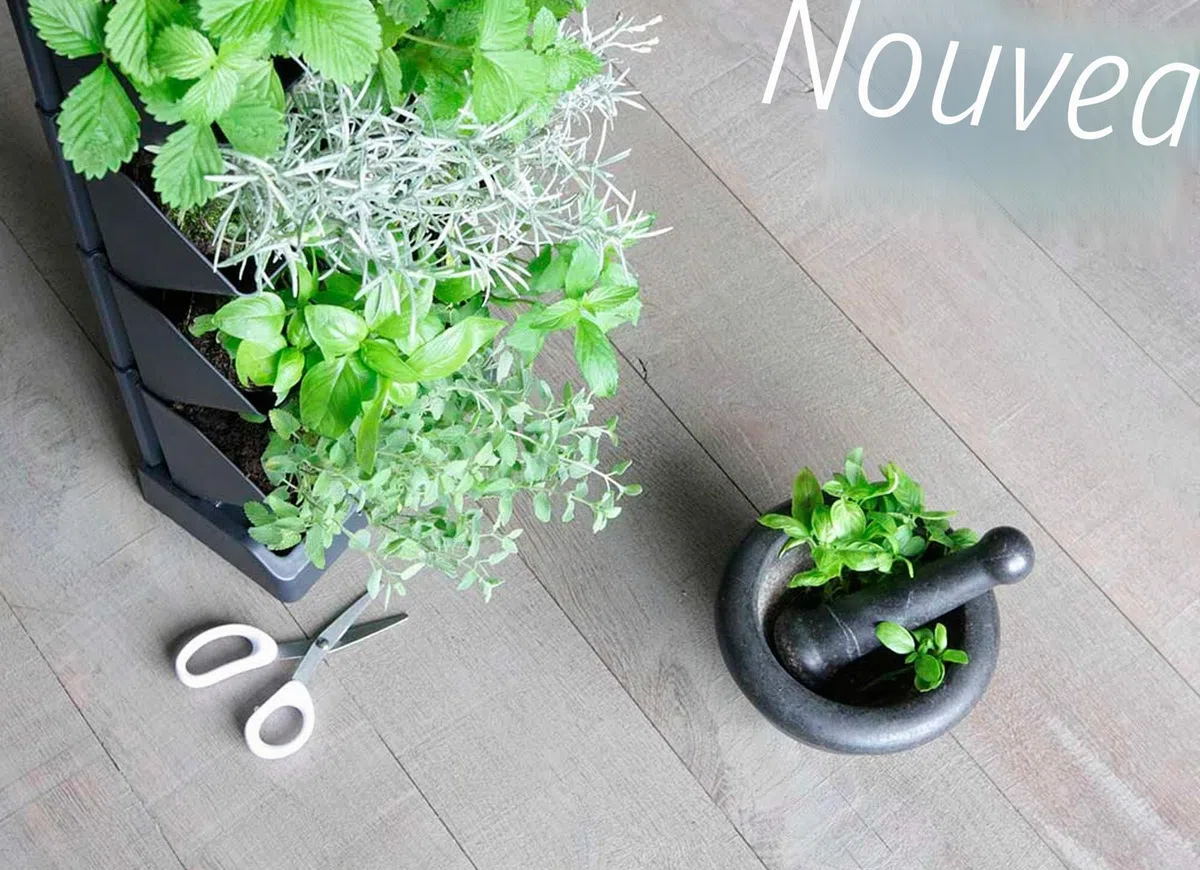 Jardinière verticale Prosperplast Mini Cascade en plastique de couleur anthracite 19,5 (L) x 11,4 (l) x 47,5 (H) cm avec ciseaux de jardinage