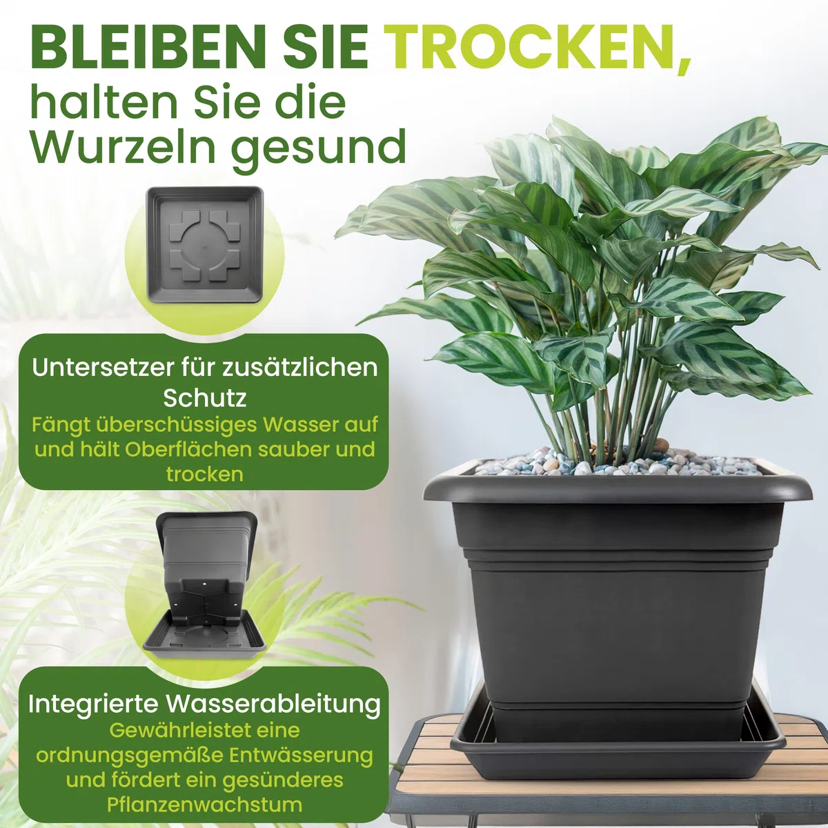 SUSTANIA Lot de 4 pots de fleurs - Grand format - Avec soucoupe - 28 x 28 cm - Carré - 16 l - Grand pot à plantes extérieur - Fabriqué en Allemagne - Anthracite