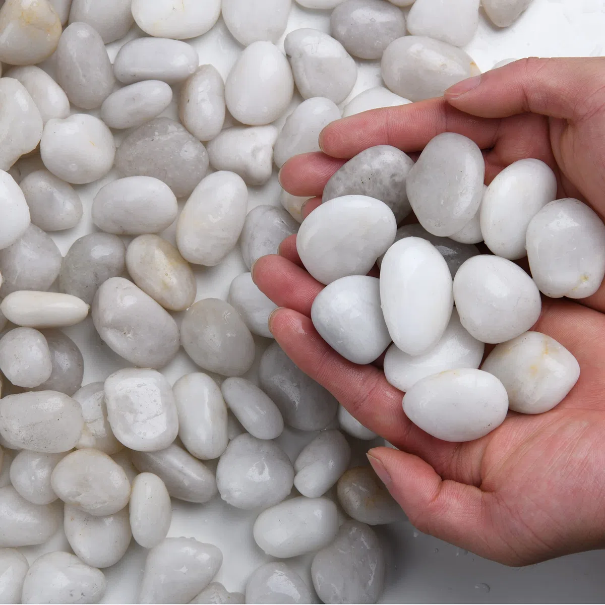 Hisredsun Pierres décoratives blanches de 1,8 kg, galets polis naturels pour pots de fleurs, roches de rivière pour l'aménagement paysager, remplissage de vases, plantes grasses, décoration d'aquarium