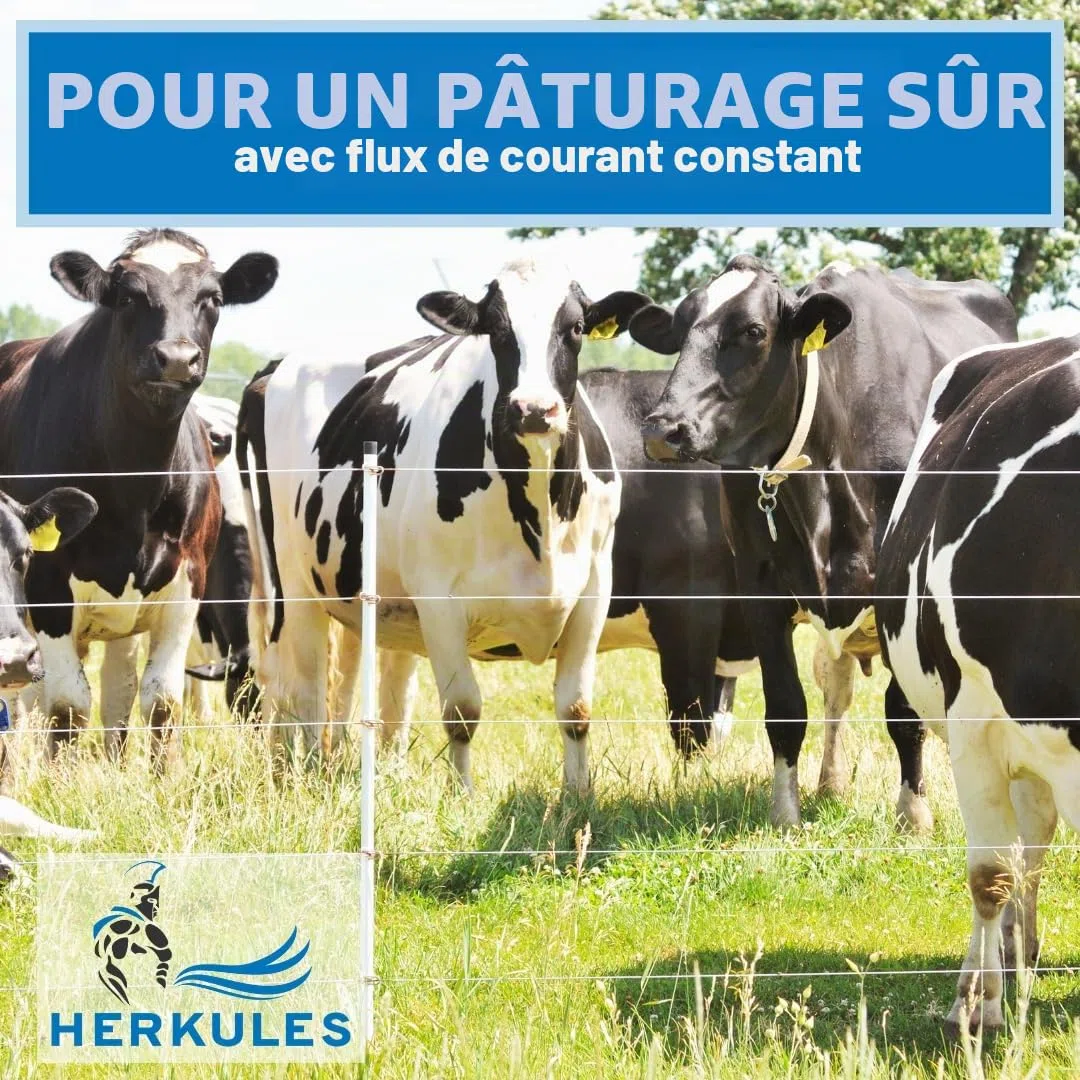 Farmland Herkules Lot de 10 piquets de clôture intelligents en plastique robuste pour le jardin 75 cm pour protéger contre les prédateurs