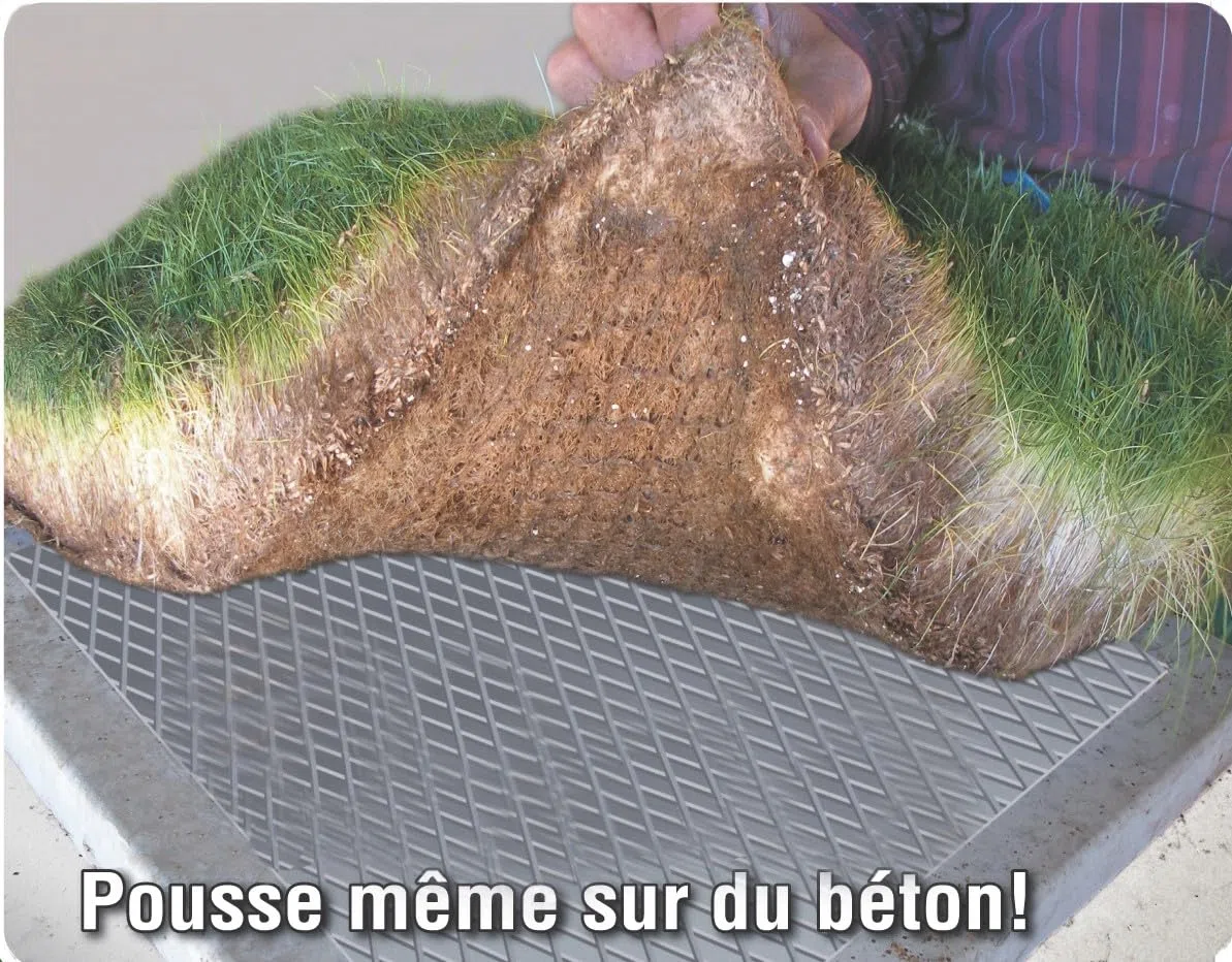 MYBO TV - Semances de gazon - Pousse partout en toutes saisons - Couvre jusqu'à 62m² - Résistant au gel et à la sécheresse - Pousse rapide - Résistant au piétinement - Sac de 1 kg