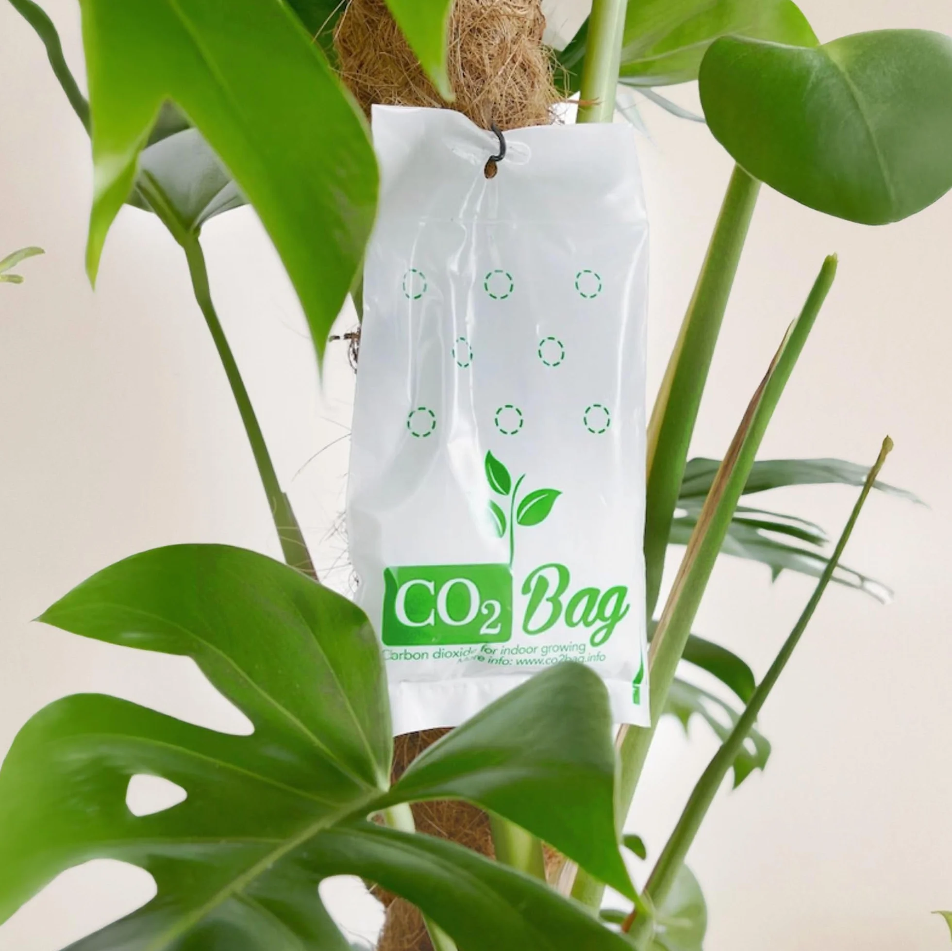 CO2bag Pour une croissance vigoureuse des plantes (lot de 2 - taille M) - Améliore le goût, la couleur et le rendement de la récolte - Compact, sans entretien et sans danger - Pour les serres jusqu'à
