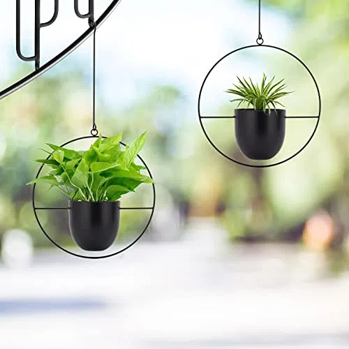 NCGL Suspension pour Plantes en Acrylique