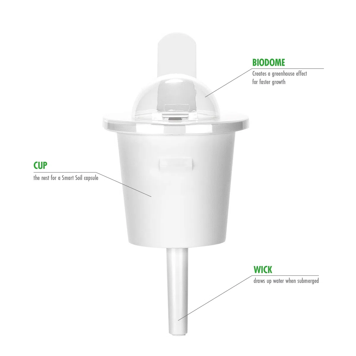 Click & Grow Lot de 3 Recharge pour jardinière