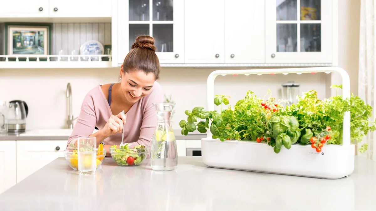Click & Grow Lot de 3 Recharge pour jardinière