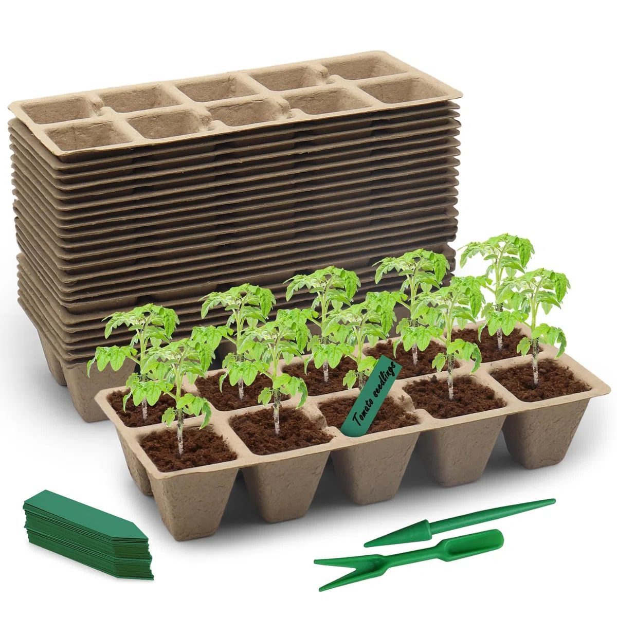 Plateaux de Semis Biodégradables 30 Pièces (10 Alvéoles) – Bacs à Semis Compostables en Fibre de Papier avec Trous de Drainage – Idéal pour Graines, Légumes, Fleurs et Jardinage Écologique