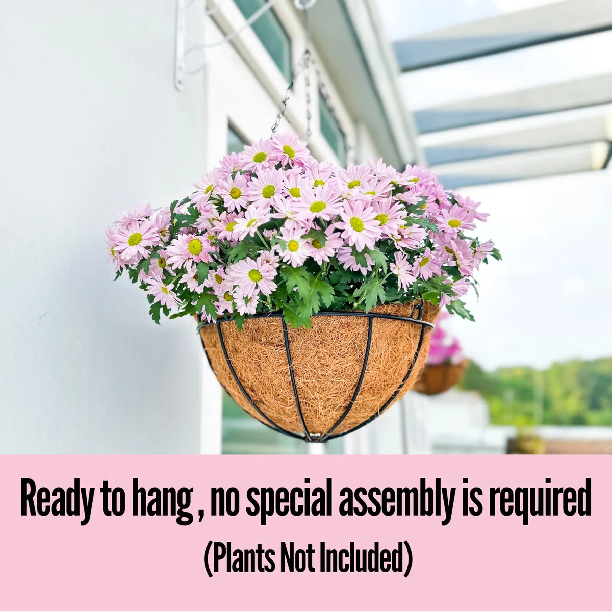 LáLáGreen Suspension pour Plantes avec Doublure en Fibre de Coco, Panier Suspendu en Métal pour Fleurs, Jardinière Suspendue pour Balcon, Terrasse, Jardin et Véranda (3, 10 inch)