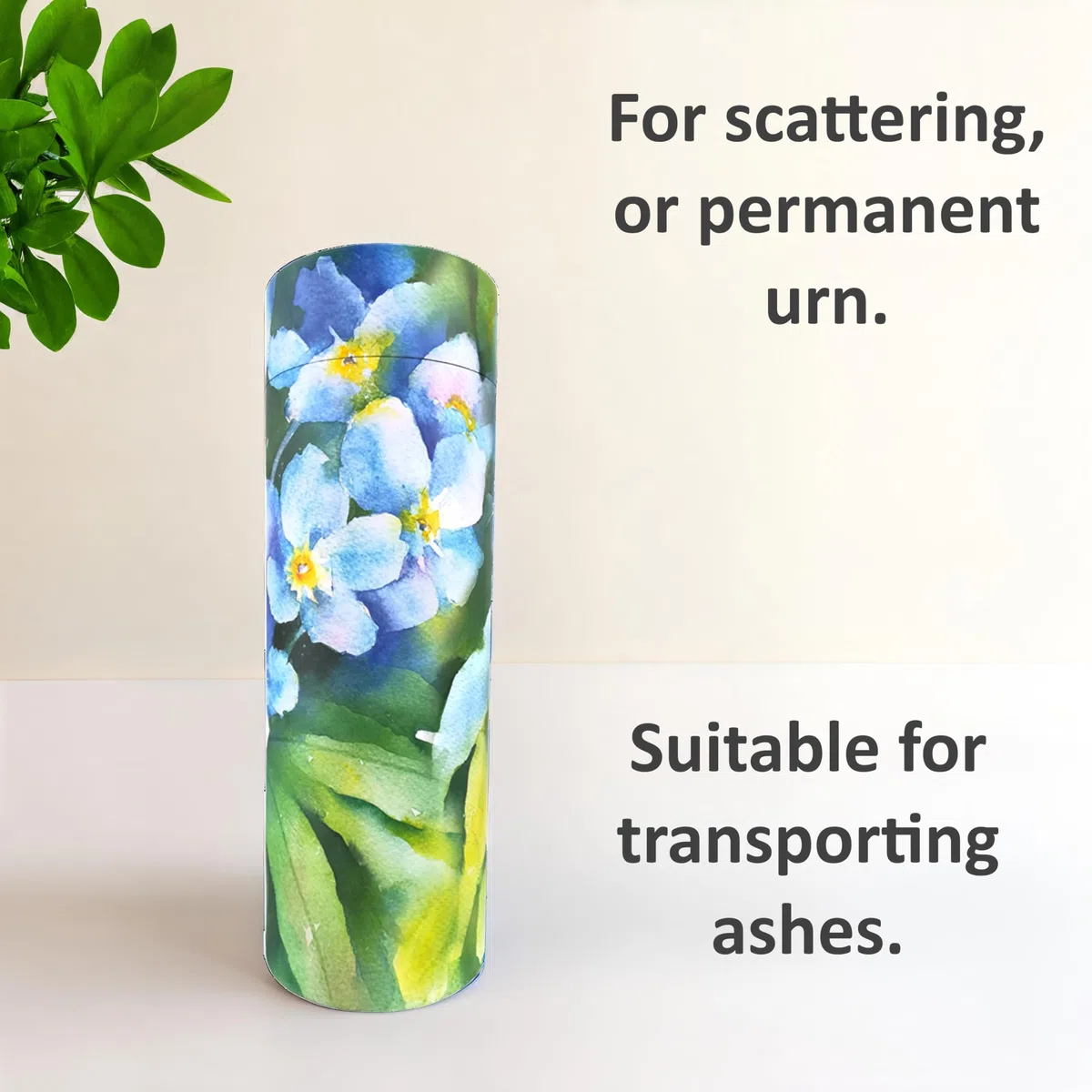 Forget Me Not Tubes à paillettes pour cendres adultes - Urnes funéraires en carton biodégradable (moyen), multicolore