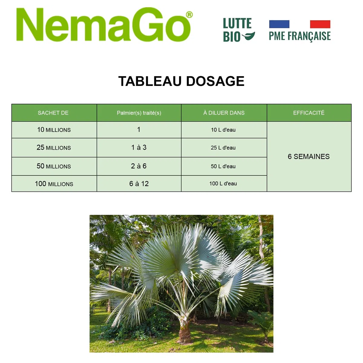 Nématodes Traitement contre le Papillon du Palmier et le Charançon Rouge - Traiter 2 à 6 Palmiers - Lutte biologique - Anti vers et larves