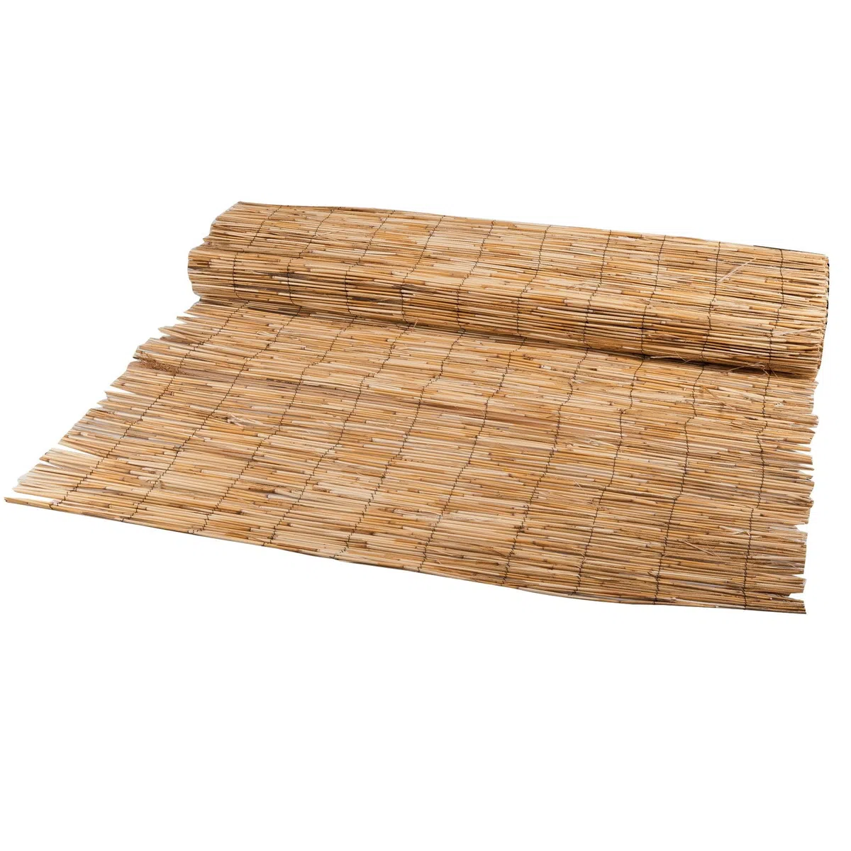 WERKA PRO Canisse en Roseau Naturel 1 x 5 m