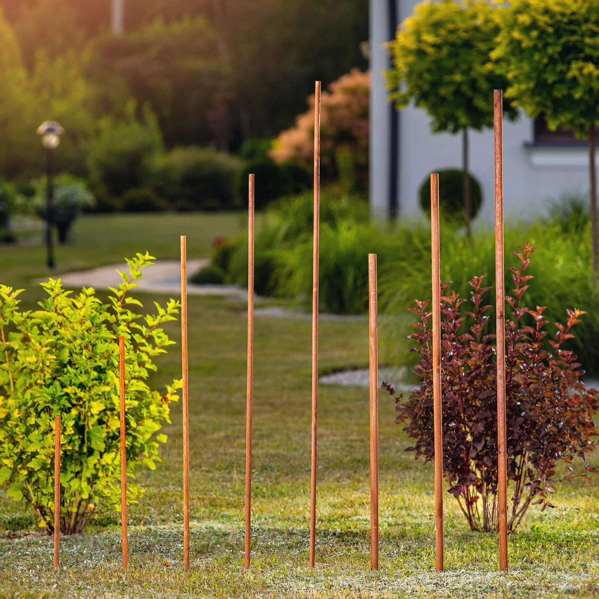 KADAX Tuteur en bois imprégné pour plantes grimpantes - Résistant aux intempéries - Tuteur pour plantes grimpantes - Tuteur de fleurs - Treillis - Piquets en bois - 5, 28 mm x 180 cm