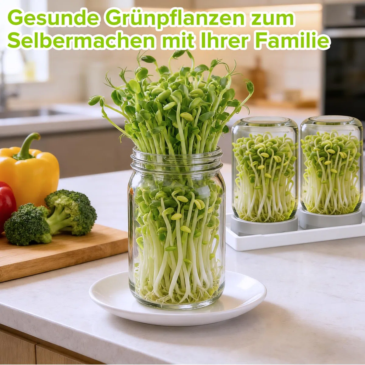 Lot De 3 Bocal De Germination, 900ml Pots Mason à Large Ouverture Couvercles De Germination, Pots De Germination Lot, Plateau à éGouttage Et Brosse Nettoyage, pour La Luzerne Potager Familial