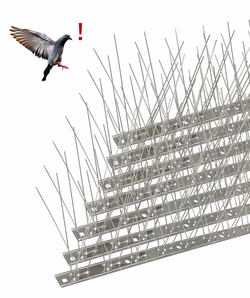 Pic Anti-Pigeon en Acier Inoxydable 6.6 Mètres, Pack de 20 Pique Anti-Oiseaux pour Effrayer Corbeaux, Moineaux, Chats, Respectueux des Animaux