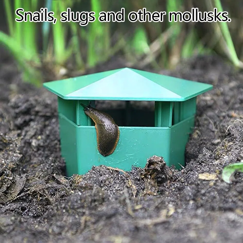 8 pièges Escargots Respectueux l'environnement,Attraper Les limaces,Pièges Limaces Escargots,Pièges à Escargots Bière Limace,Escargots Catcher,Piege Limace,Pièges Escargots