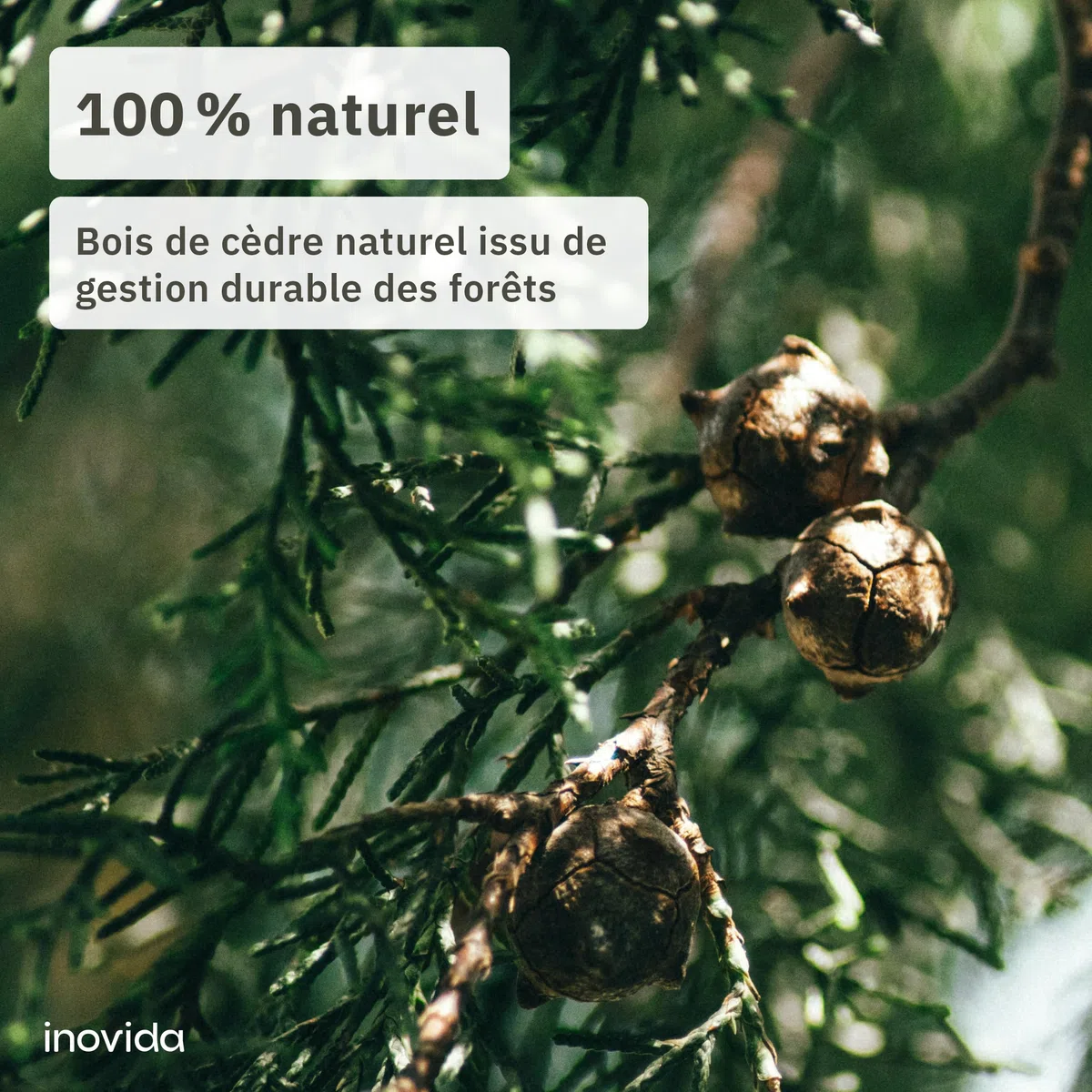 Protection Anti-Mites en Bois de Cèdre pour Armoire : 16 Blocs Parfumés en Bois de Cèdre Contre Les Mites Textiles – Désodorisant Naturel pour Penderie – Parfum Frais pour Vêtements – de Inovida