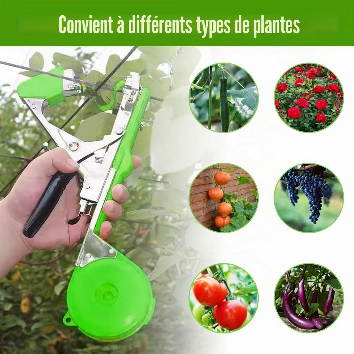Machine à Attacher les Plantes,Comprenant 20 Rouleaux de Ruban Adhésif et 10 000 Agrafes Outil Agricole pour le Soutien des Plantes Convient aux Plants de Tomates,aux Vignes aux Vergers