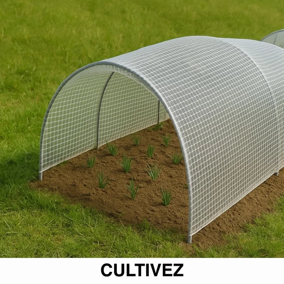 TERRE JARDIN Bâche de Protection, Extérieur Polyéthylène 160g/m² - Bâche Armée Imperméable, Ultra Résistante Découpable, Anti UV - Œillets Aluminium - Mobilier Serre Jardin - 4 x 6 - Transparent