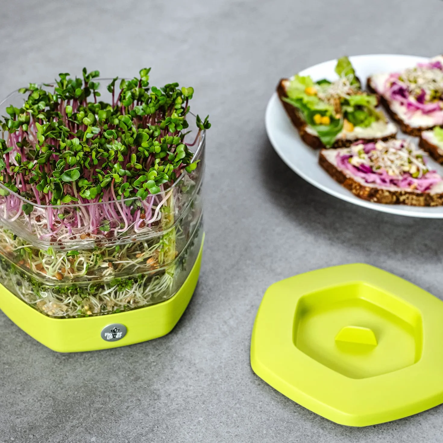 Flower Lover Germoir pour Graines à Germer et Micro-pousses - Microgreens Coupelle de Germination à 3 Étages - Set de 3 Bacs de Germination en Plastique, 17 cm (Avocat)