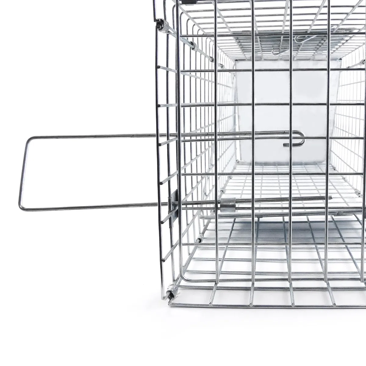 Piège de Capture Animaux 62x19x22 cm - Cage Trappe Pliable en Fil de Fer Galvanisé avec Poignée Piège - pour Ratons Laveurs, Martres et Chats - Installation Facile et sans Danger pour Animaux