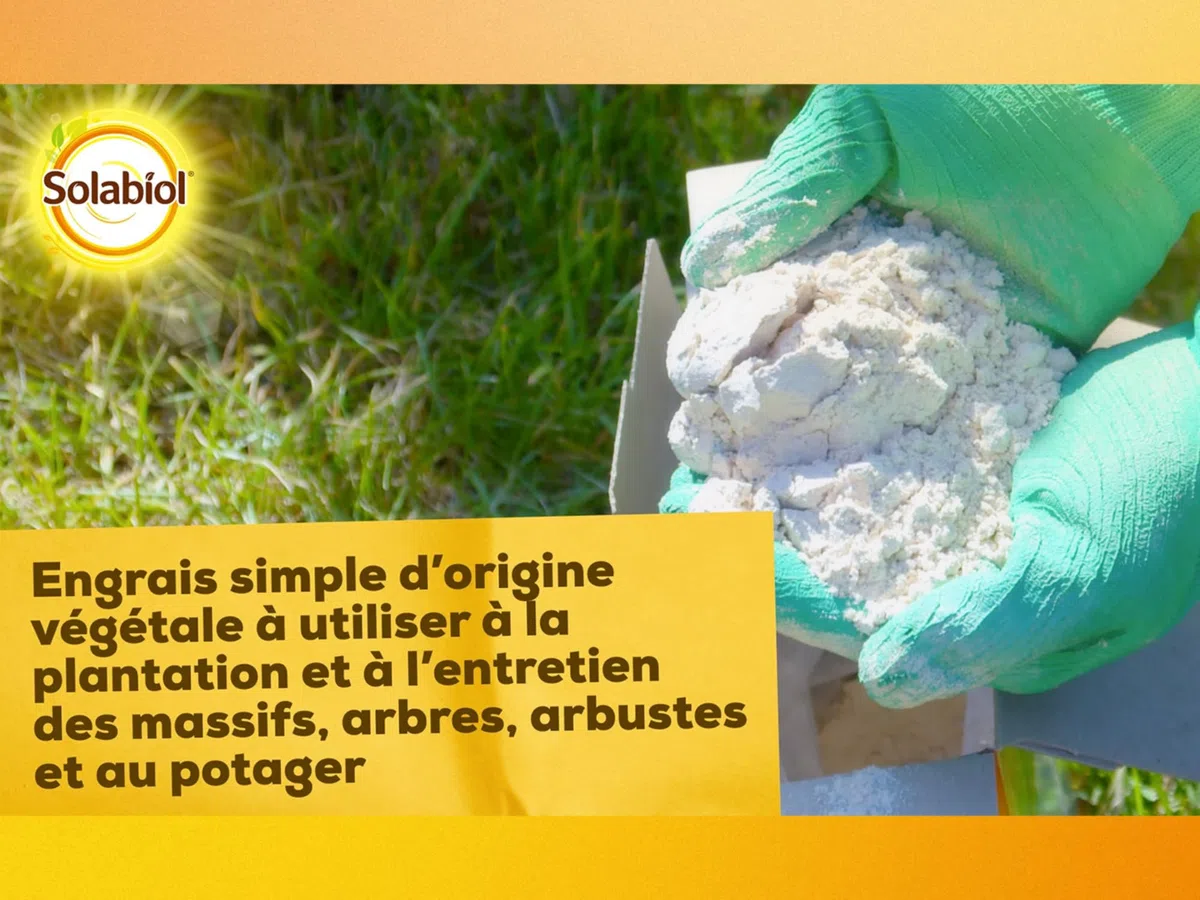 Solabiol Engrais Potasse - 1,5Kg - Jusqu'à 30m² - Améliore La Fructification - Facile A Épandre - pour Toutes Les Cultures - Utilisable en Agriculture Biologique SOPAS15G10N
