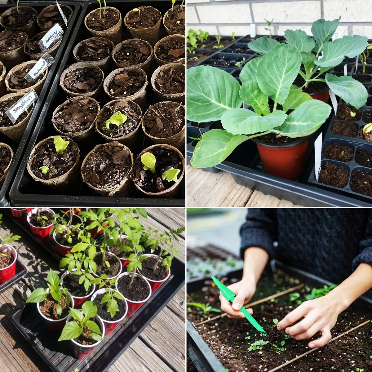 5 Pièce 51 x 25 cm Plateau de Semis Réutilisable Plateau de Culture | Bacs à Semis avec Étiquettes de Plantes pour Légume Fleurs Germination Hydroponique Jardin Serre (5)