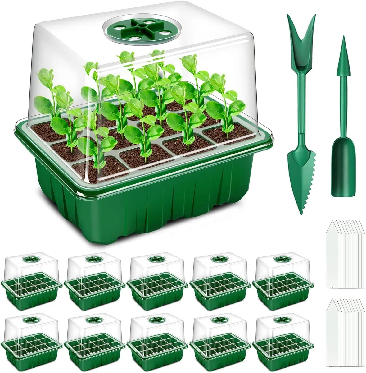 YAUNGEL Mini Serre pour Plantes, 10 Pièces 120 Cellules Intérieure Plateau Semis avec couvercles rehaussés, Bac à semis Pépinière Boîte de Culture Durables, Vert