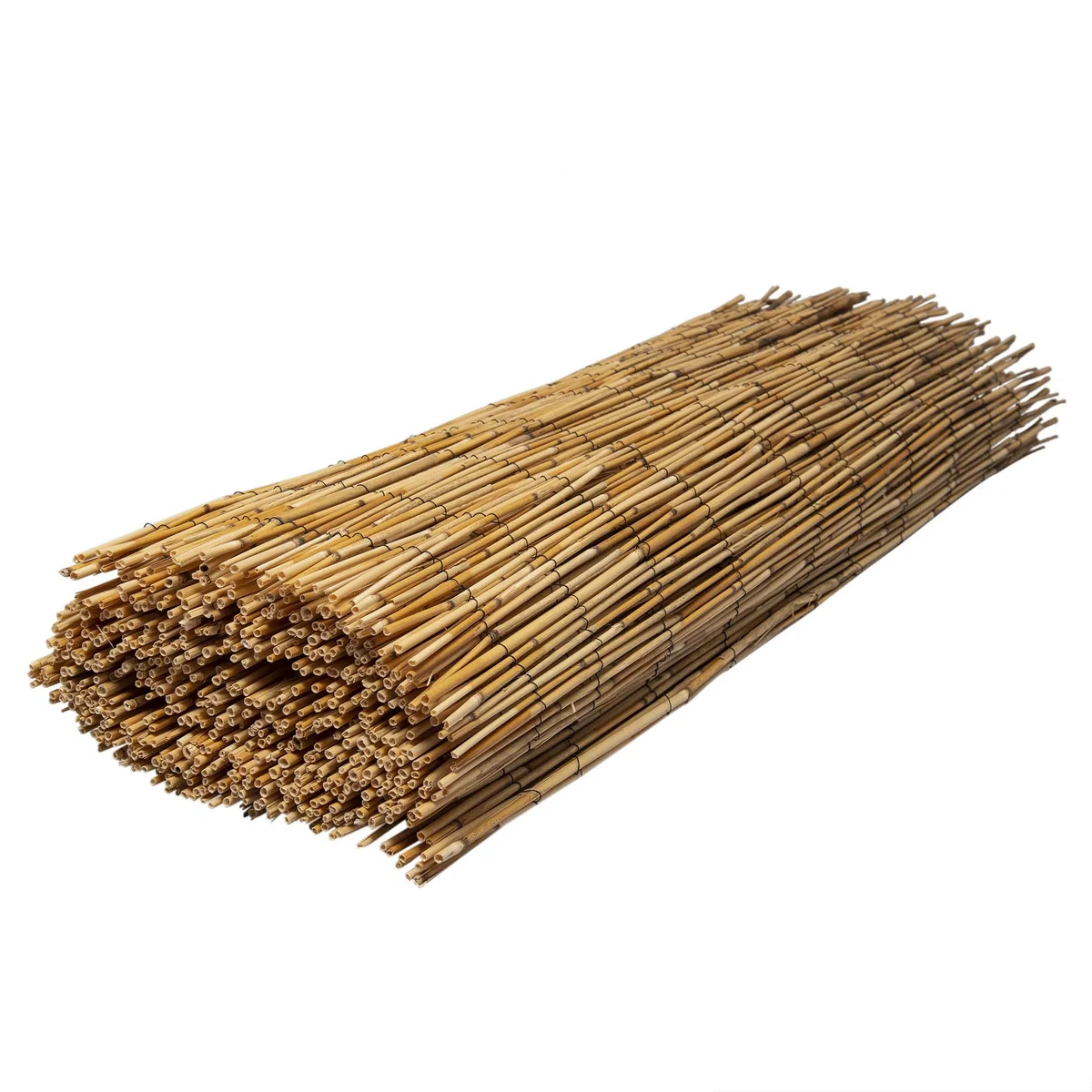 WERKA PRO Canisse en Roseau Naturel 1 x 5 m
