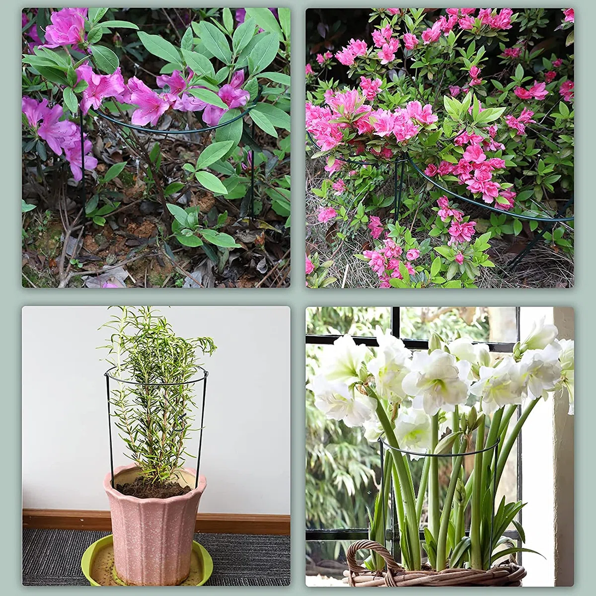 Lot de 10 60cm Haute Tuteurs pour Plantes, 25 cm de Diamètre Piquets Verts Demi-Ronds Support pour Plantes Support Plante,Aidez Vos Plantes à Pousser - Anneau de Support de Plante Pieux à Hortensias