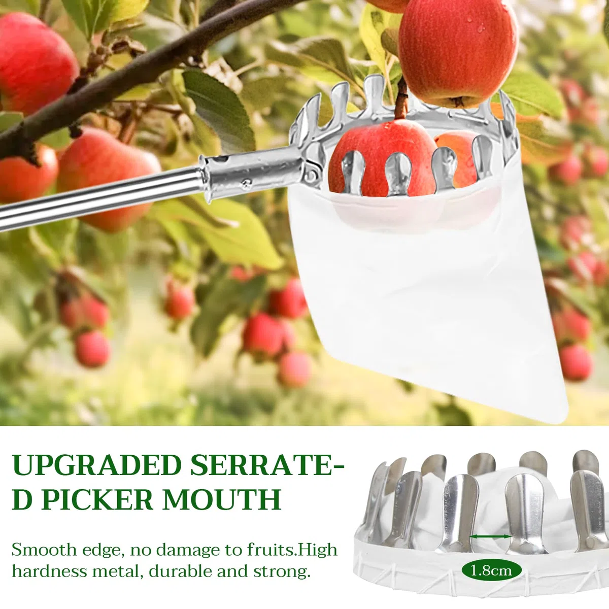 Cueille-fruits 4,2 m avec manche télescopique, en acier inoxydable, longueur réglable, avec sac en coton