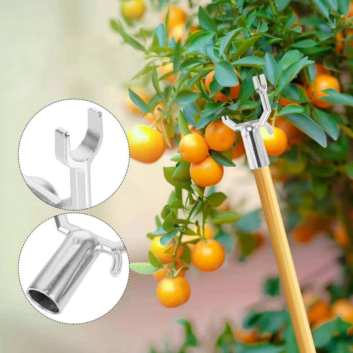 Housoutil Fourche De Support pour Arbres Fruitiers Métallique Réutilisable 10.00X6.00X1.90Cm Support Stable pour Jardin Verger Potager Lot de 10 Têtes De Fourche