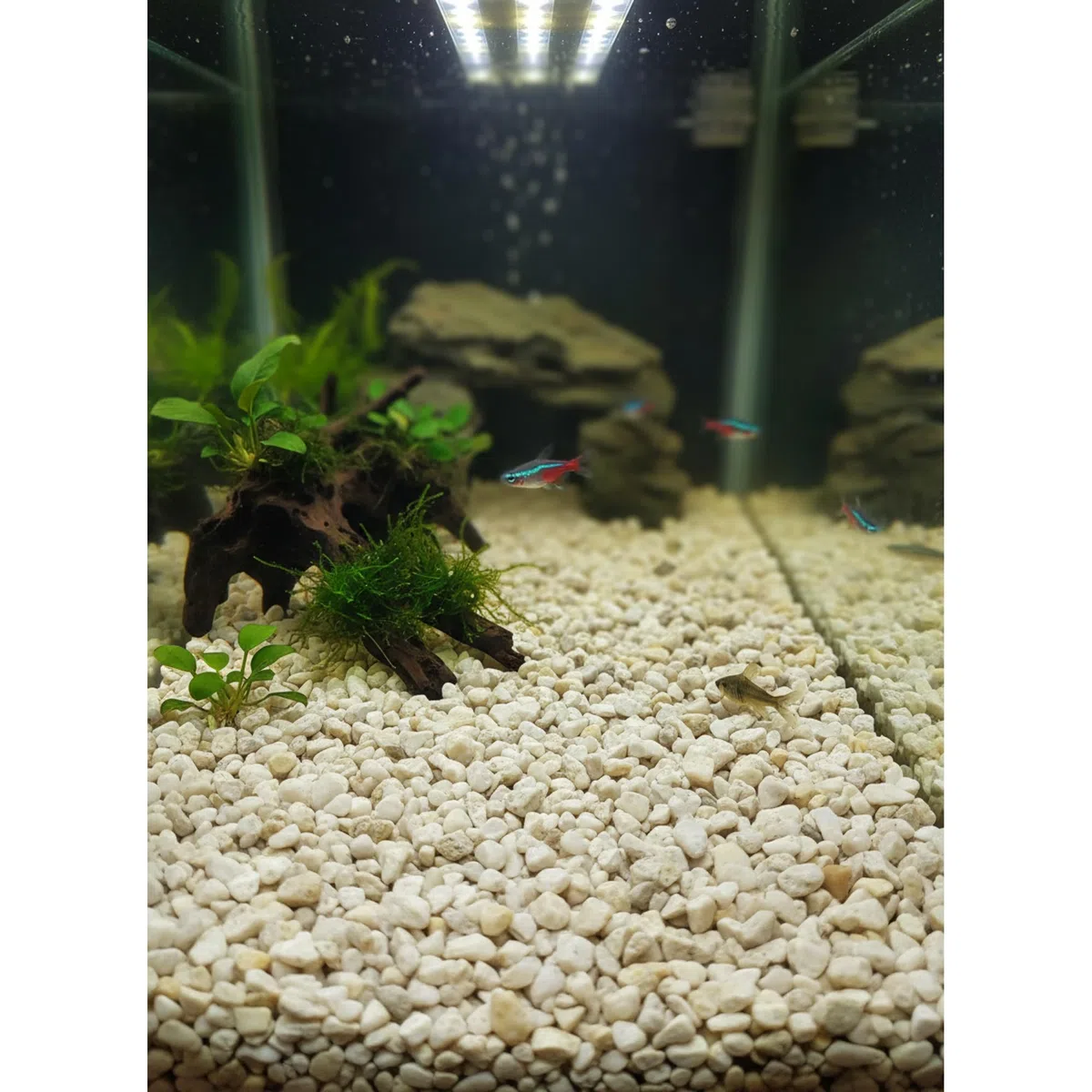 25 kg Gravillon de Quartz Blanc 8-16 mm