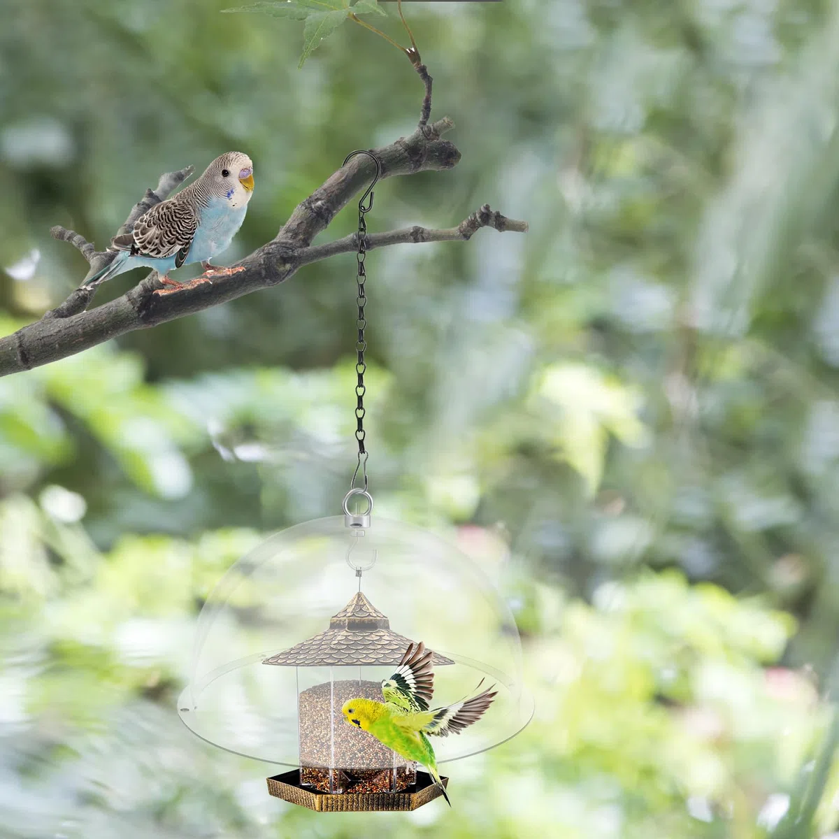2 pièces Dôme de Protection pour Mangeoires à Oiseaux,Diamètre 30cm Couverture de Pluie Transparente Anti Écureuils Idéal,avec des Chaînes,pour Le Jardin et la Terrasse