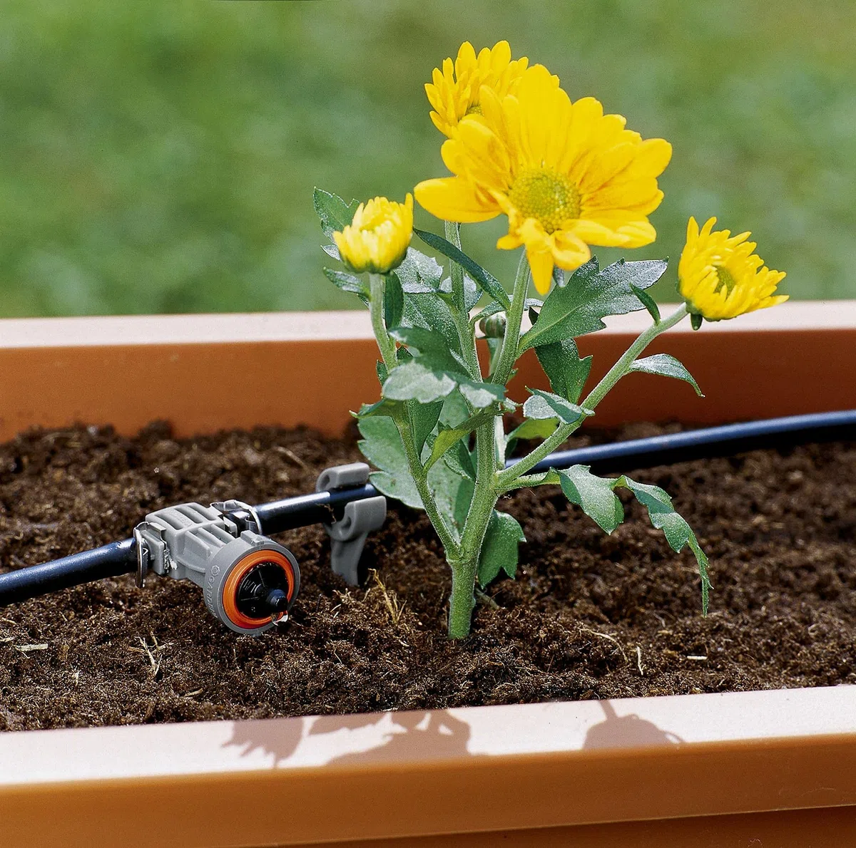 Gardena Système Micro-Drip gouttes de compte gouttes de dépôt en terrasses: queue d'irriguer des rangées de plantes plus courtes avec des besoins en eau similaires (8311-20)