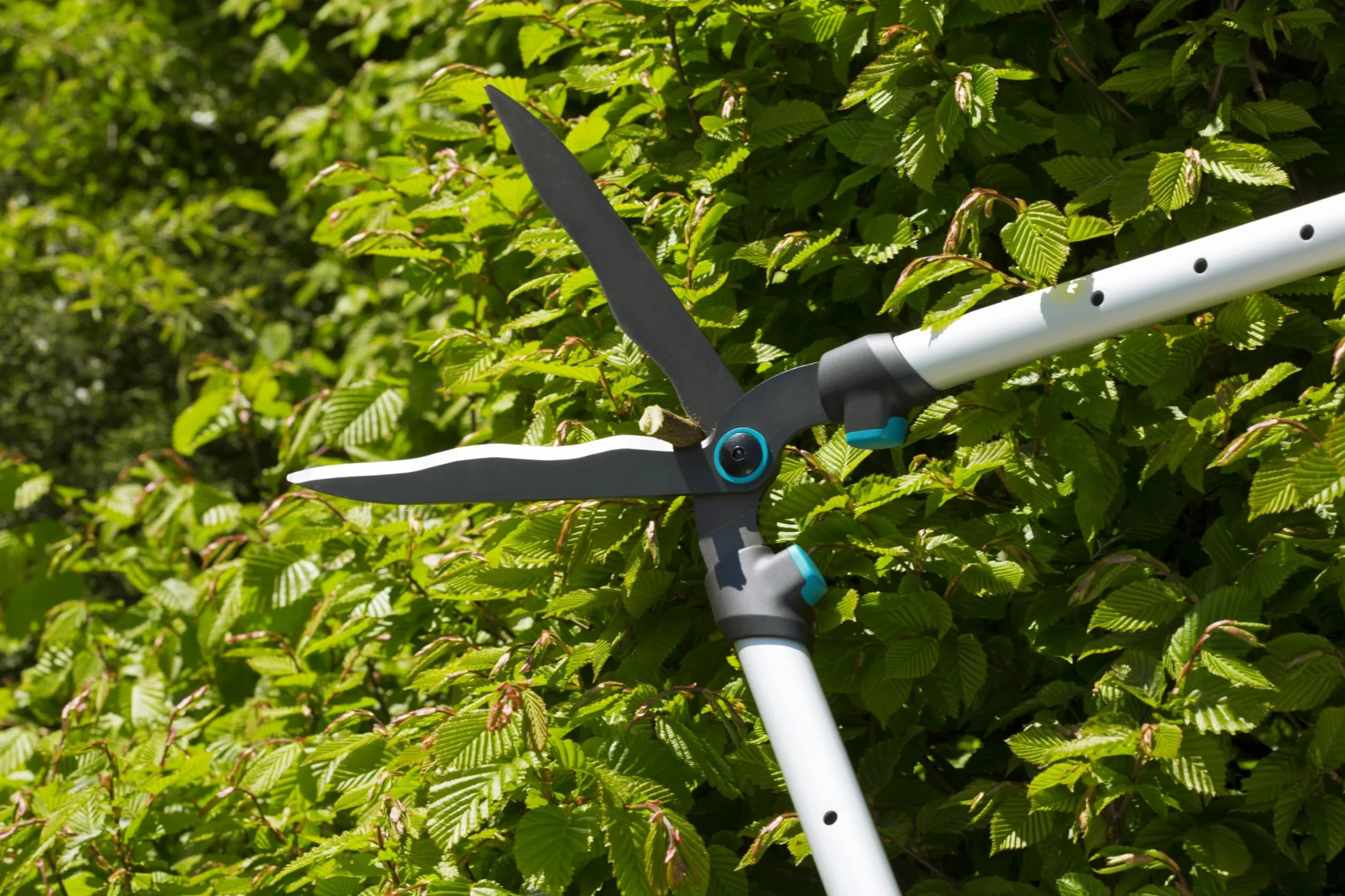 Gardena Taille-Haies TeleCut Ciseaux de Jardin légers pour la Coupe de Haies élevées, 23 cm, Bras de Levier télescopique, poignées en Aluminium Ergonomique (12304-20)