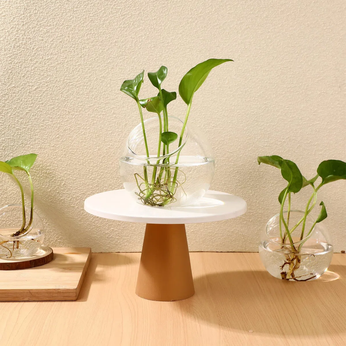 Toddmomy 3 Pcs Verre Clair Air Plante Terrarium Succulent Cactus Plante Vases Terrarium Pot Pot De Bonbons Récipient Floral Bol Incliné pour Fête De Mariage Événement Décor De Bureau À