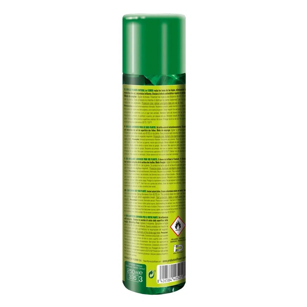 Flower 40501 – Spray Brillance pour Plante Naturelle hypoallergénique