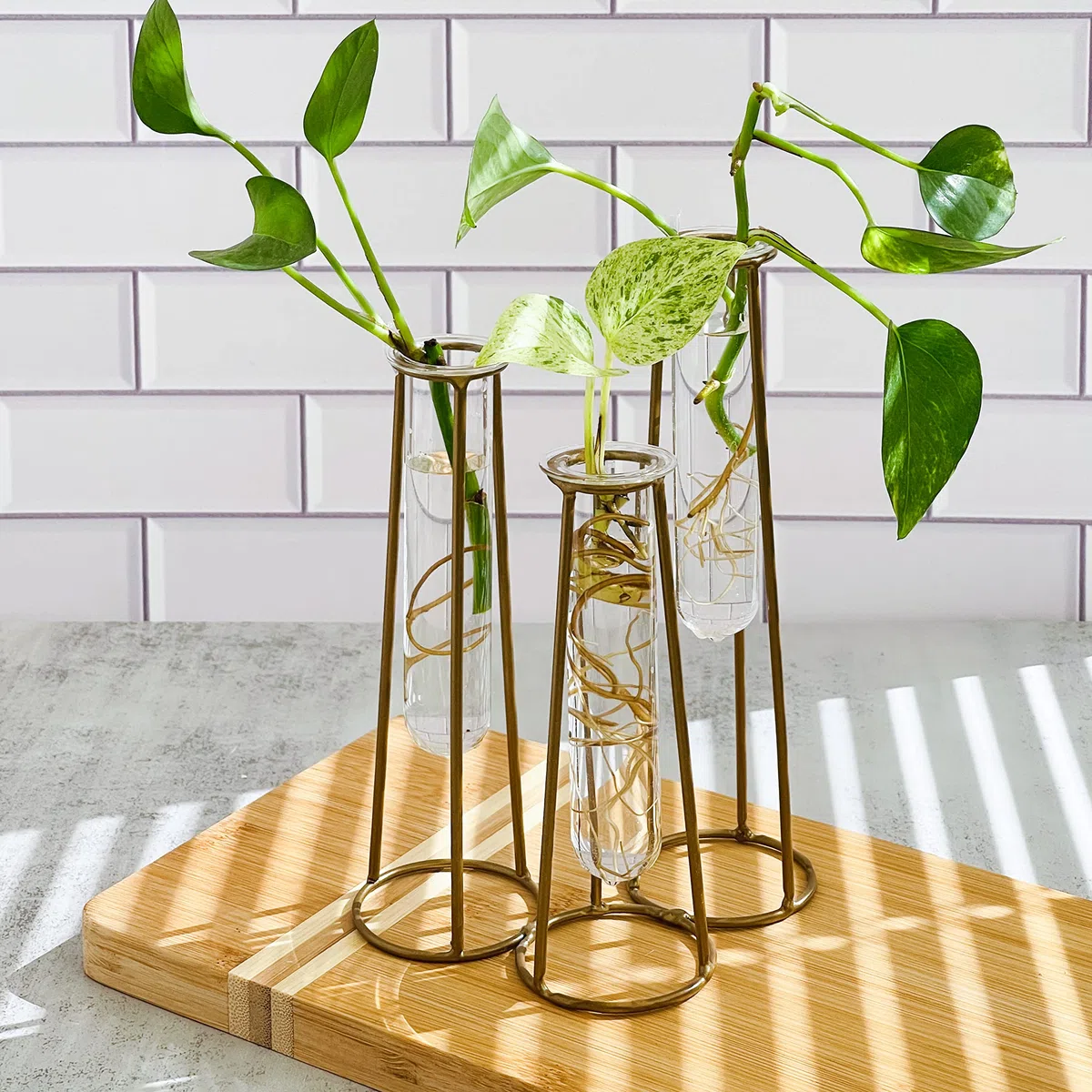 Kate Aspen Station de Propagation terrariums avec Support en métal doré – 3 Tubes à essai en Verre pour Plantes d'intérieur