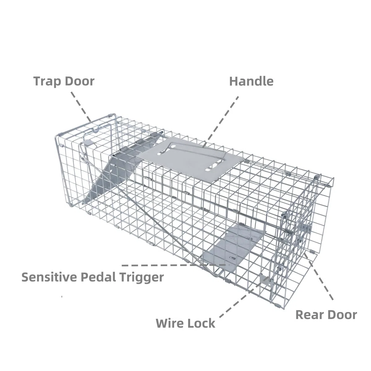 Piège de Capture Animaux 62x19x22 cm - Cage Trappe Pliable en Fil de Fer Galvanisé avec Poignée Piège - pour Ratons Laveurs, Martres et Chats - Installation Facile et sans Danger pour Animaux