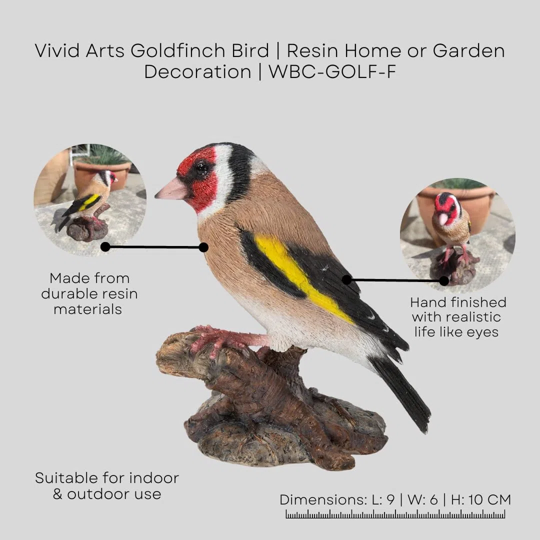 Vivid Arts WBC-GOLF-F Décoration pour la maison ou le jardin en résine en forme d’oiseau chardonneret