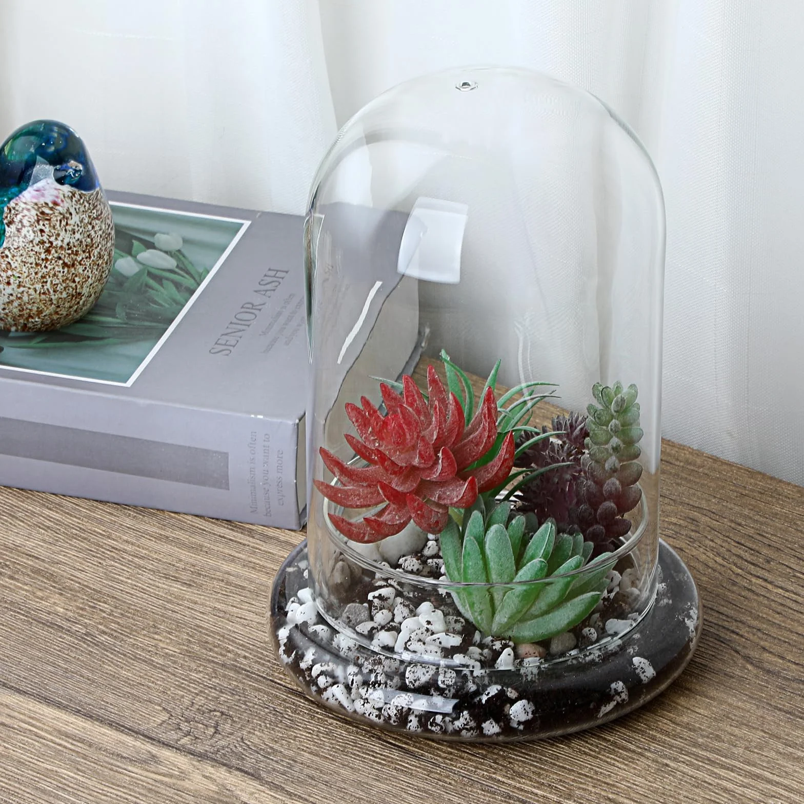 Mini pot de terrarium pour plantes succulentes - Dôme en verre transparent avec trou d'aération de 3 mm - Cloche décorative en verre avec fond en verre - Décoration de table pour bureau