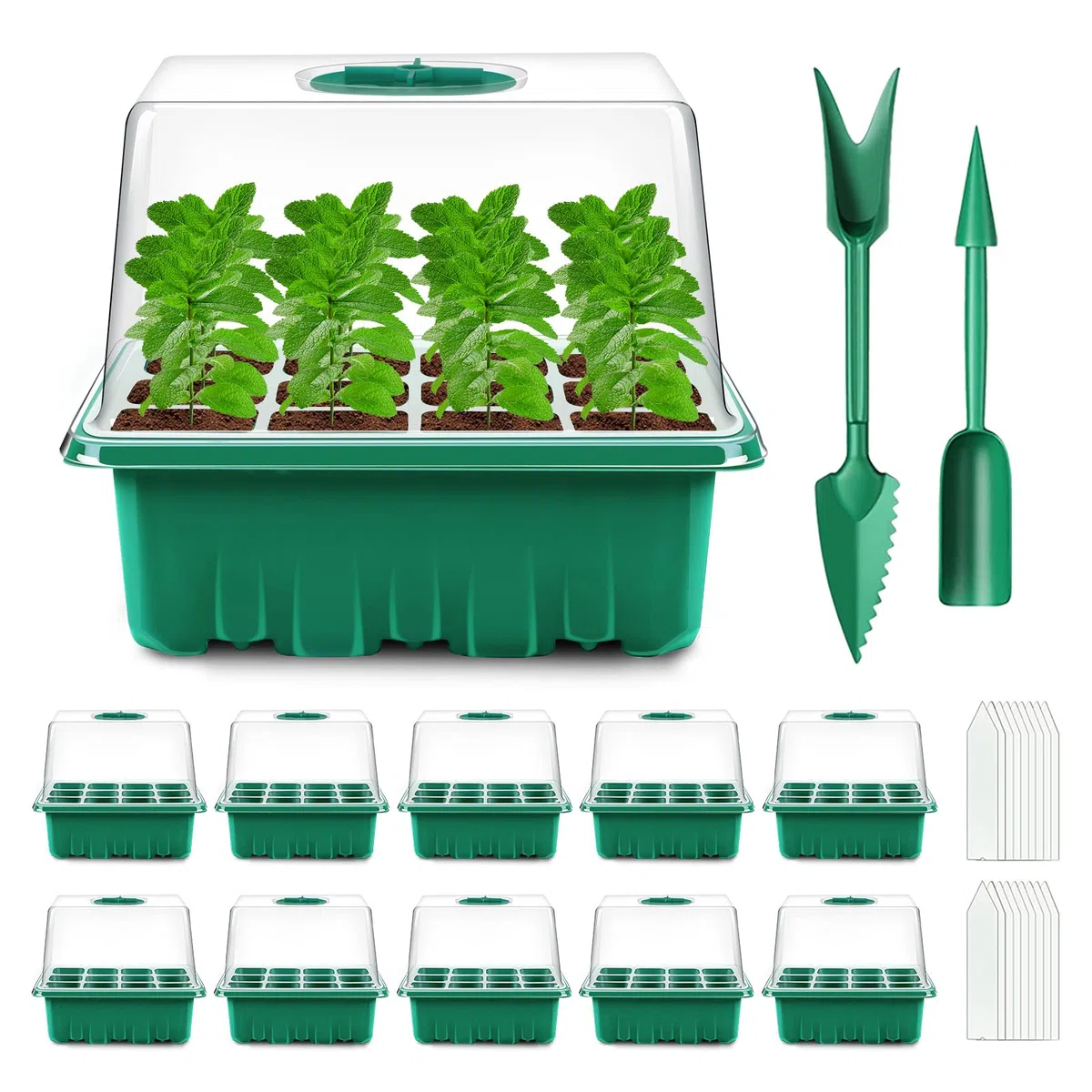 Verdenu Mini Serre pour Plantes, 10 Pièces 120 Cellules Plaque Semis, Serre Interieur avec couvercles rehaussés, Bac à semis Pépinière Boîte de Culture Durables, Hauteur du dôme d'humidité 8,4 cm
