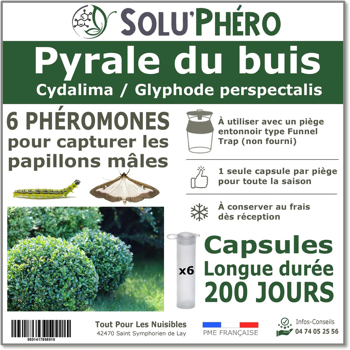 SOLUPHERO - 6 Phéromones Longues durées pour la pyrale du buis - 6 x 200 Jours