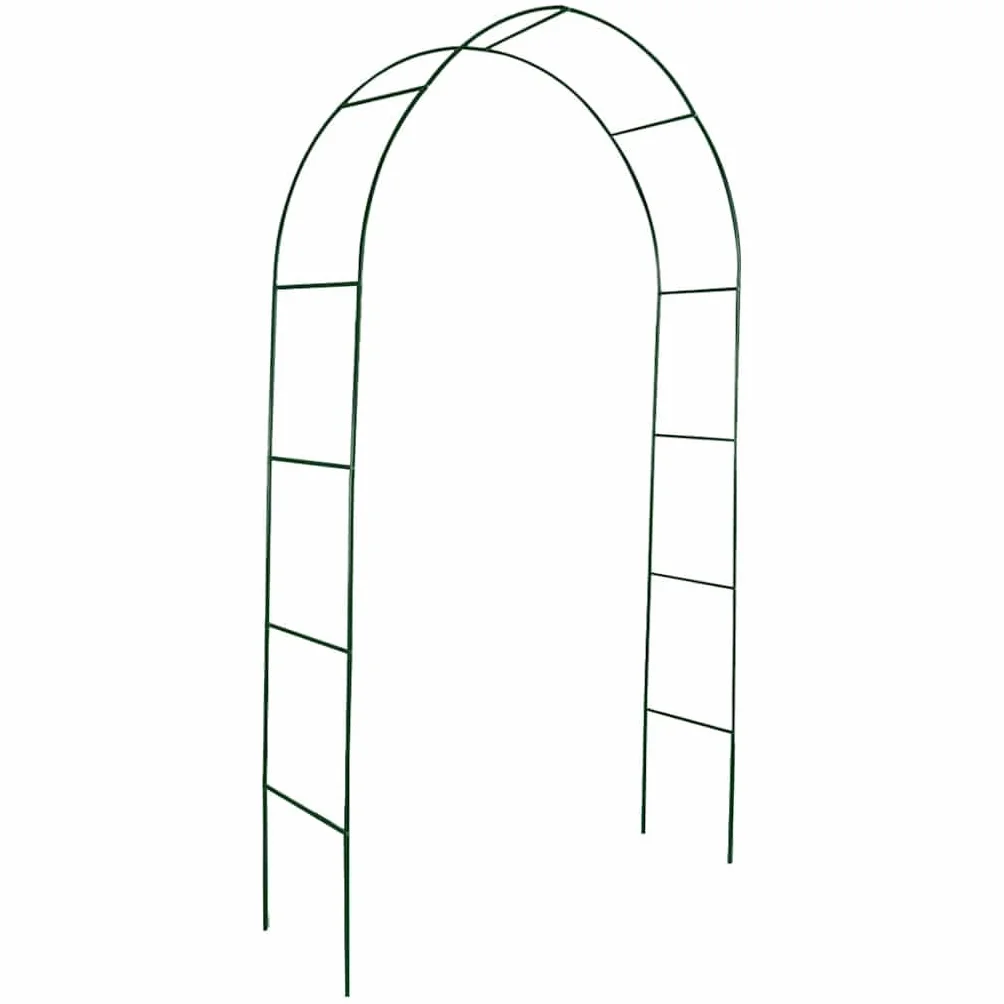 vidaXL 2X Arche de Jardin Plantes Grimpante Terrasse Patio Arceau à Rosiers