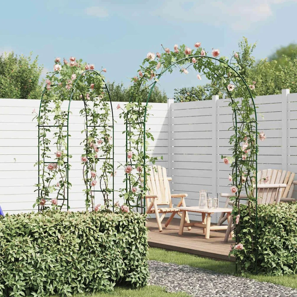 vidaXL 2X Arche de Jardin Plantes Grimpante Terrasse Patio Arceau à Rosiers