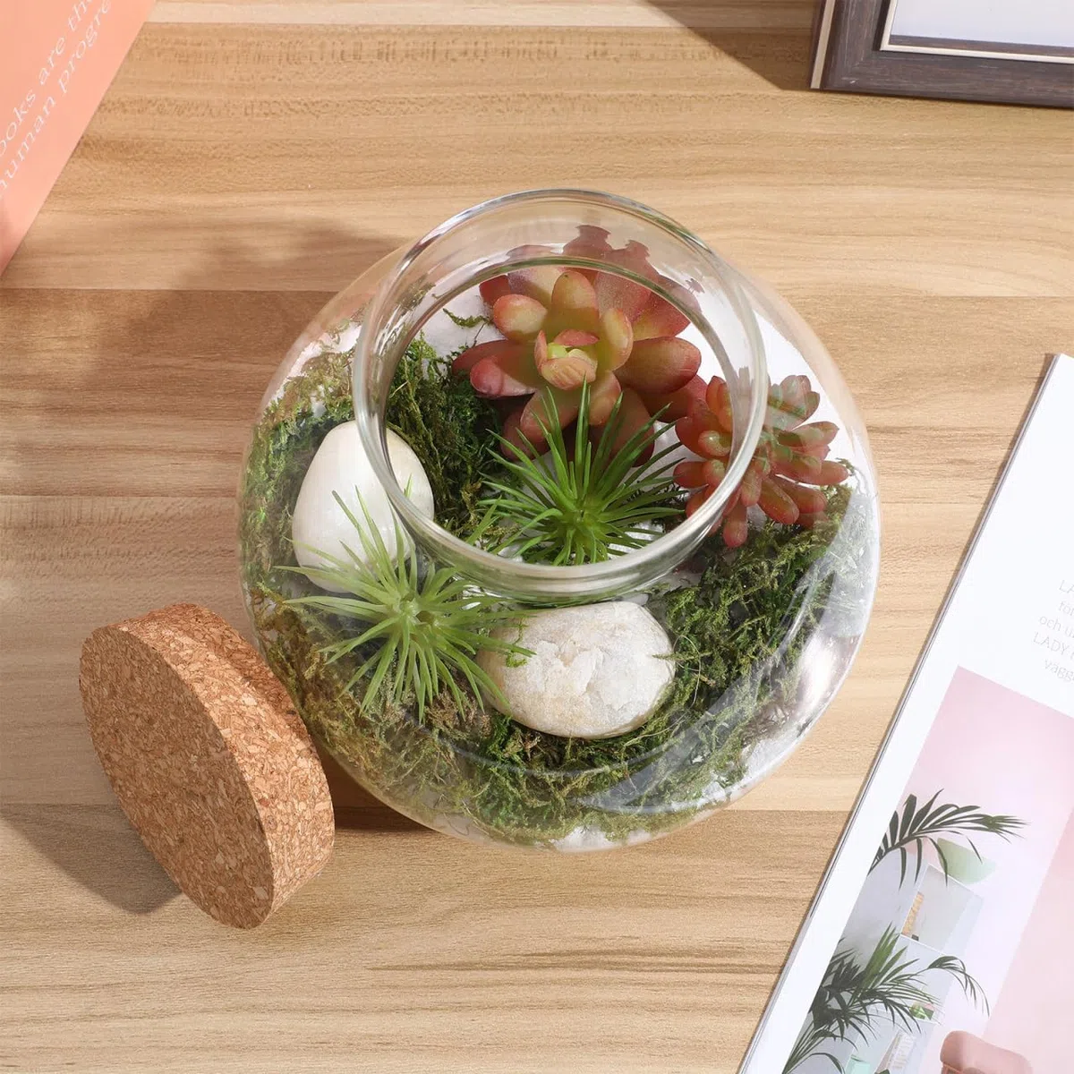 DOITOOL Pot rond en verre pour terrarium, plantes succulentes, bourgeons, vase à vœux, bouteille avec couvercle en liège, pot à bonbons, pot en verre pour fougère, mousse, plantes succulentes
