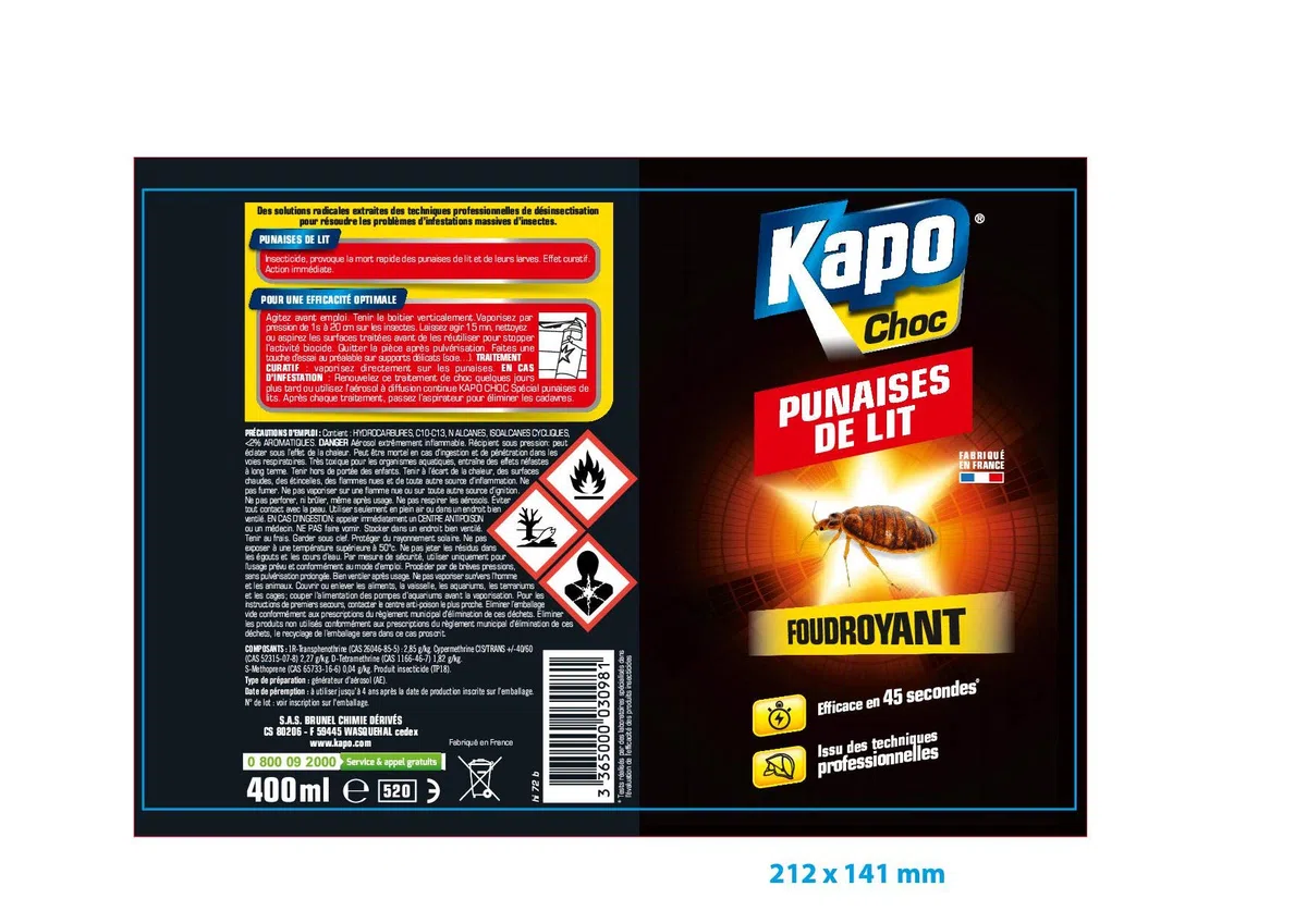 Kapo Aérosol punaises de lit - La bombe de 400ml