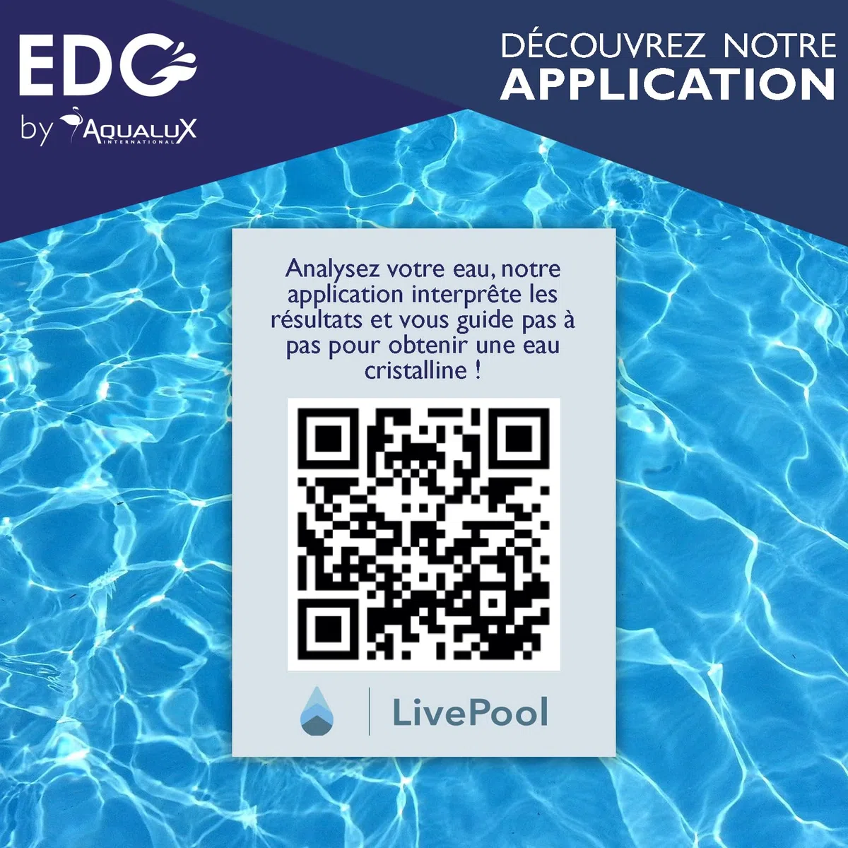 Hivernage Piscine - Anti Algues - Anti dépôts - Protection Des Équipements et des Revêtements - Bidon 5 Litres - EDG