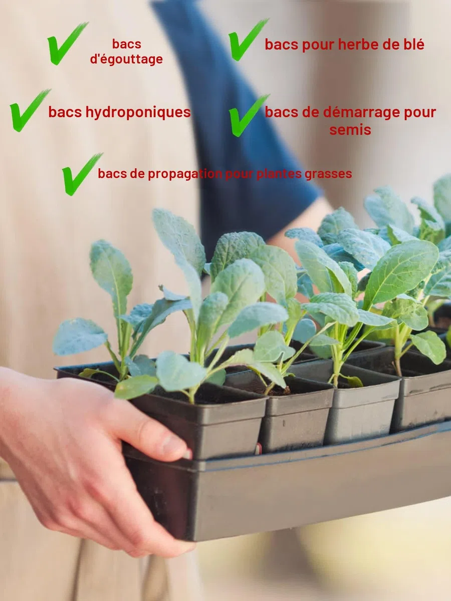 Plateaux de Semis pour Semis Plateaux de Jardin sans Trous Lot de 6 rectangulaires de semences de Plantes pour Pots